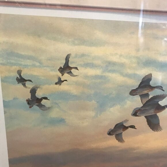 Wetlanders Herb Booth Ducks Unlimited 1991 Flyway Numbered Signed Framed Print - Picture 9 of 16